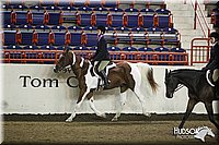 4H-State-SH-11_1133.JPG
