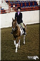 4H-State-SH-11_1134.JPG