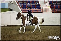 4H-State-SH-11_1138.JPG