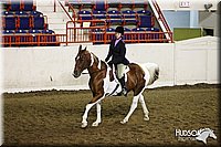 4H-State-SH-11_1139.JPG
