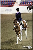 4H-State-SH-11_1141.JPG