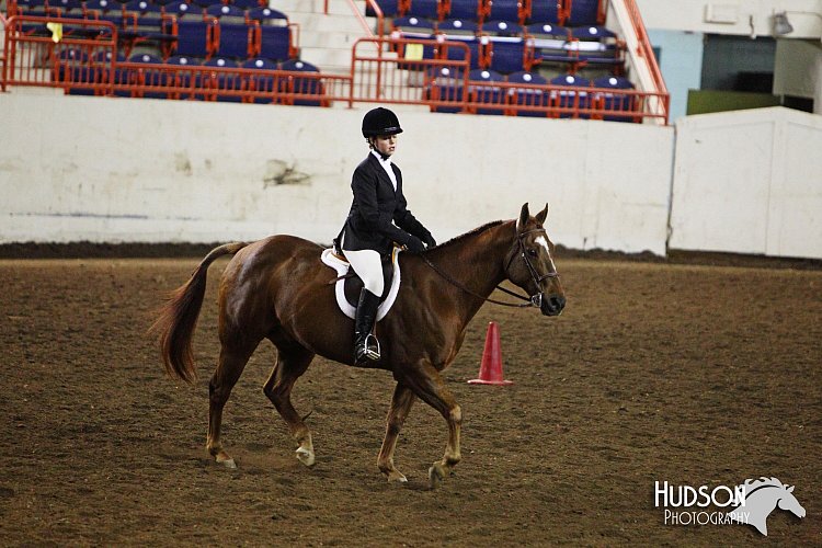 4H-State-SH-11_1168.JPG