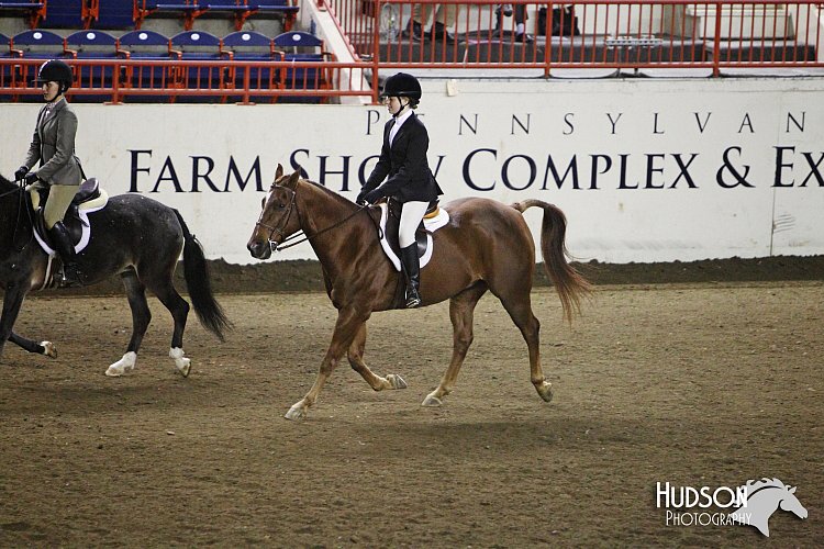 4H-State-SH-11_1174.JPG