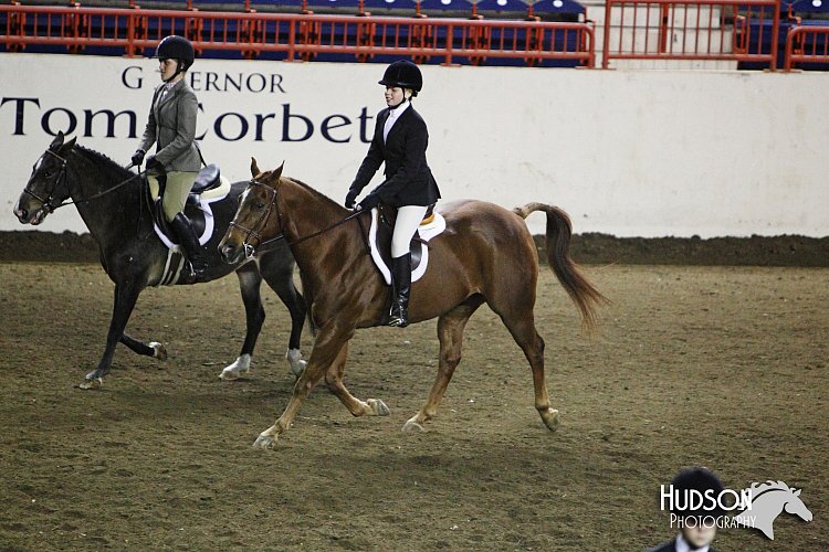4H-State-SH-11_1175.JPG