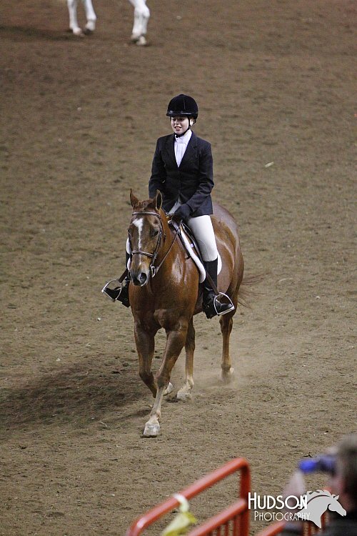 4H-State-SH-11_1182.JPG