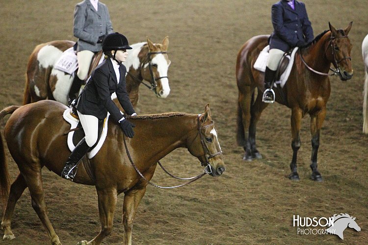 4H-State-SH-11_1195.JPG