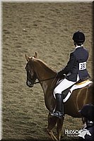 4H-State-SH-11_1184.JPG