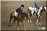 4H-State-SH-11_1192.JPG