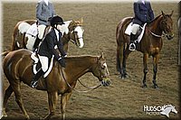 4H-State-SH-11_1195.JPG