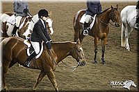 4H-State-SH-11_1196.JPG