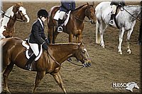 4H-State-SH-11_1197.JPG