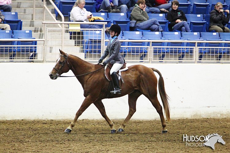 4H-State-SH-11_0885.JPG