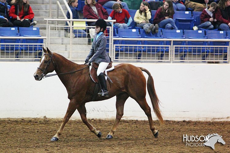 4H-State-SH-11_0886.JPG