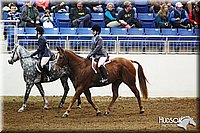 4H-State-SH-11_0854.JPG