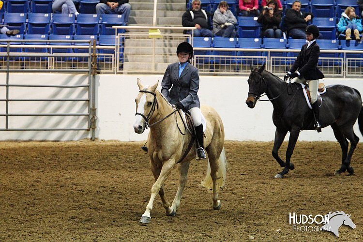 4H-State-SH-11_0882.JPG