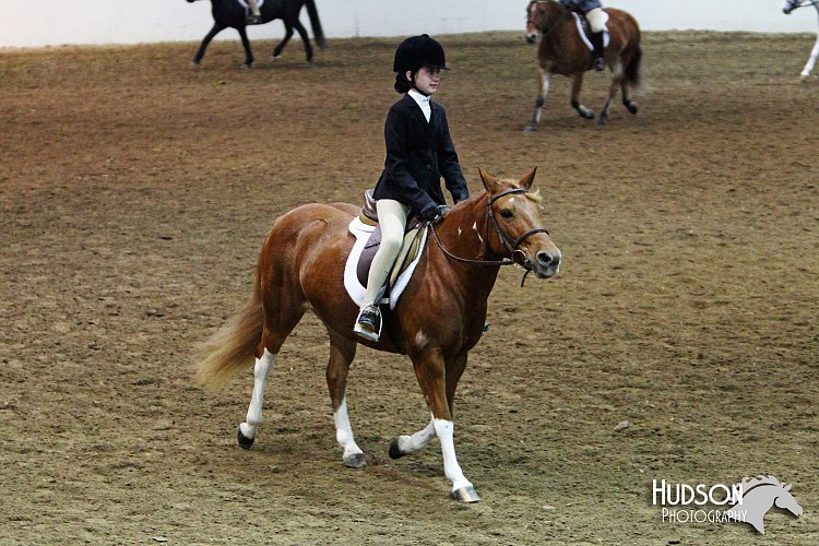 4H-State-SH-11_0962.JPG
