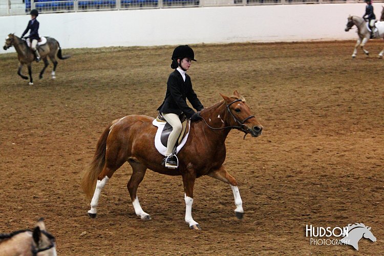 4H-State-SH-11_0967.JPG