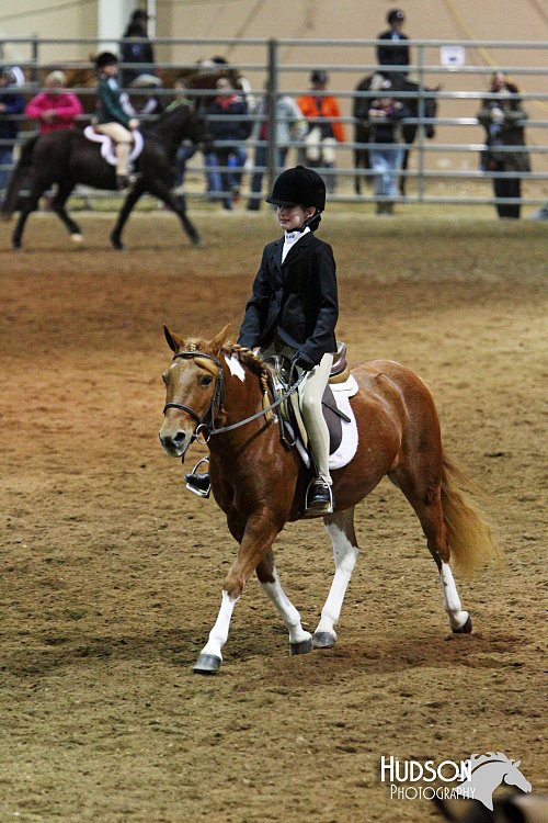 4H-State-SH-11_0968.JPG