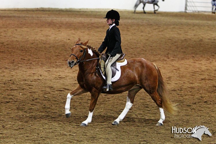 4H-State-SH-11_0977.JPG