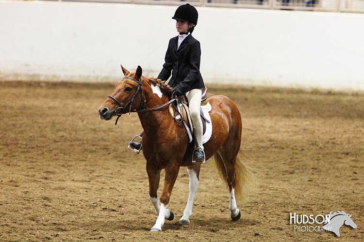 4H-State-SH-11_0988.JPG