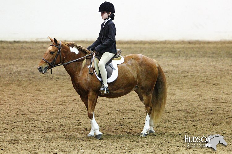 4H-State-SH-11_0989.JPG