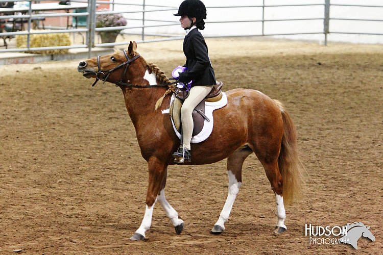 4H-State-SH-11_0995.JPG