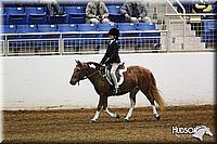4H-State-SH-11_0957.JPG