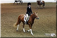 4H-State-SH-11_0962.JPG