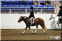 4H-State-SH-11_0966.JPG