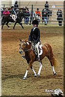 4H-State-SH-11_0968.JPG