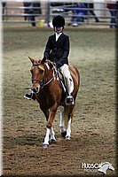 4H-State-SH-11_0971.JPG