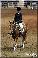 4H-State-SH-11_0972.JPG