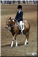 4H-State-SH-11_0973.JPG
