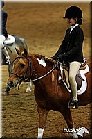 4H-State-SH-11_0975.JPG