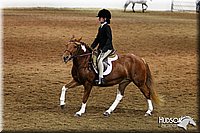 4H-State-SH-11_0977.JPG