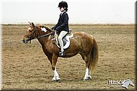 4H-State-SH-11_0989.JPG