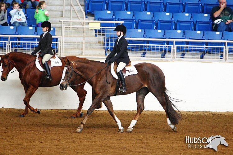 4H-State-SH-11_1472.JPG