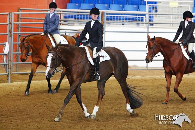 4H-State-SH-11_1473.JPG