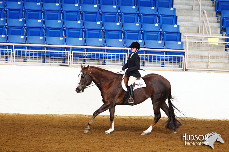4H-State-SH-11_1477.JPG