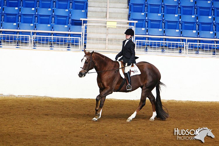 4H-State-SH-11_1478.JPG
