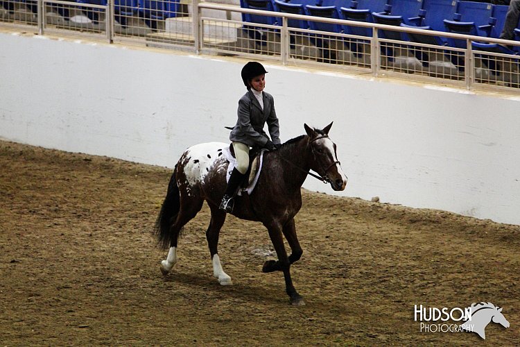 4H-State-SH-11_1015.JPG
