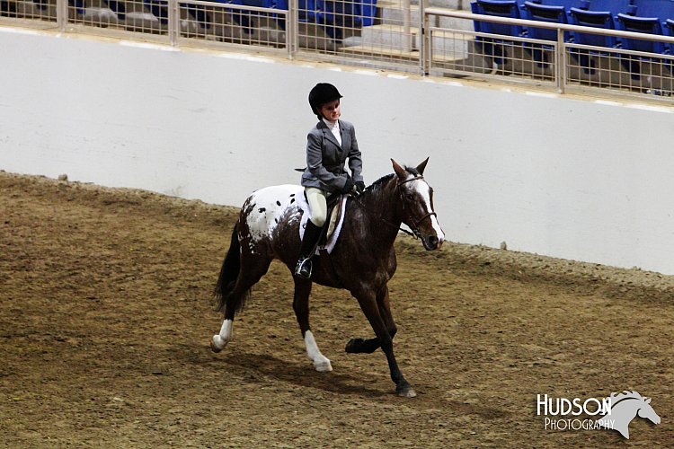 4H-State-SH-11_1016.JPG