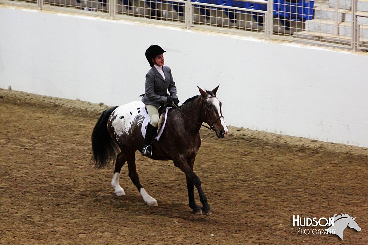 4H-State-SH-11_1020.JPG