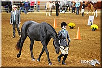 4H-State-SH-11_0053.JPG