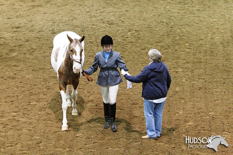 4H-State-SH-11_0736.JPG