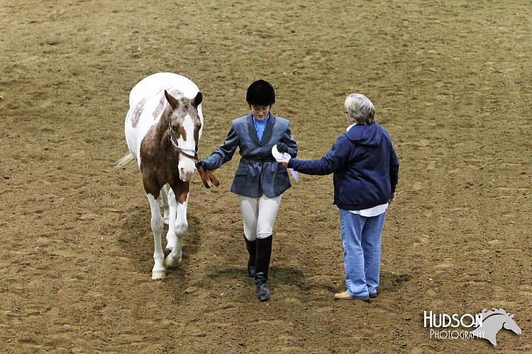 4H-State-SH-11_0737.JPG