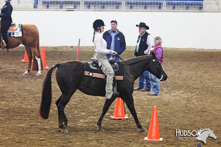 4H-State-SH-11_0185.JPG