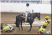 4H-State-SH-11_0181.JPG