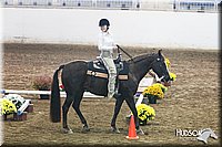 4H-State-SH-11_0183.JPG