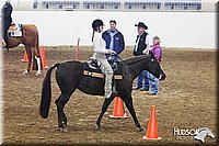 4H-State-SH-11_0185.JPG
